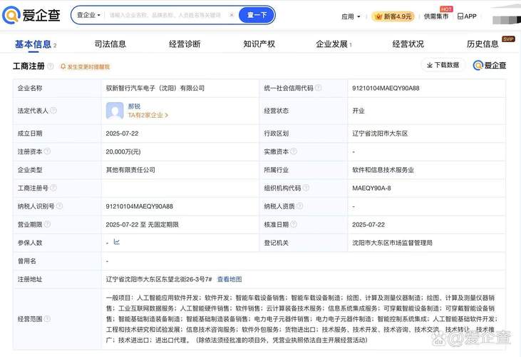 人工智能应用软件开发 从注册资本视角看行业布局